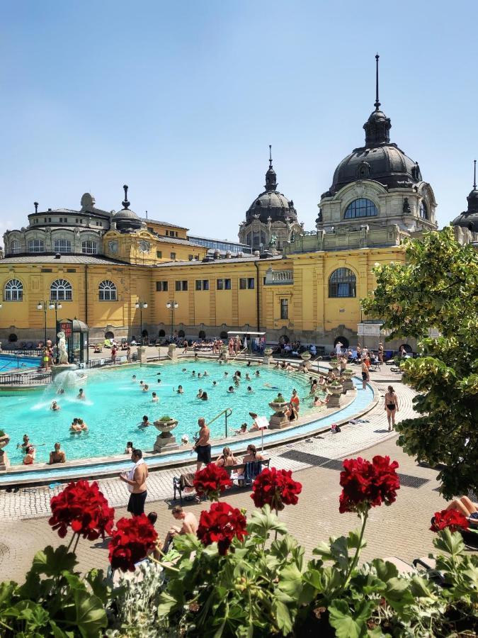 Stunning 2 Double Br Apartment In The Heart Of Budapest Exterior photo